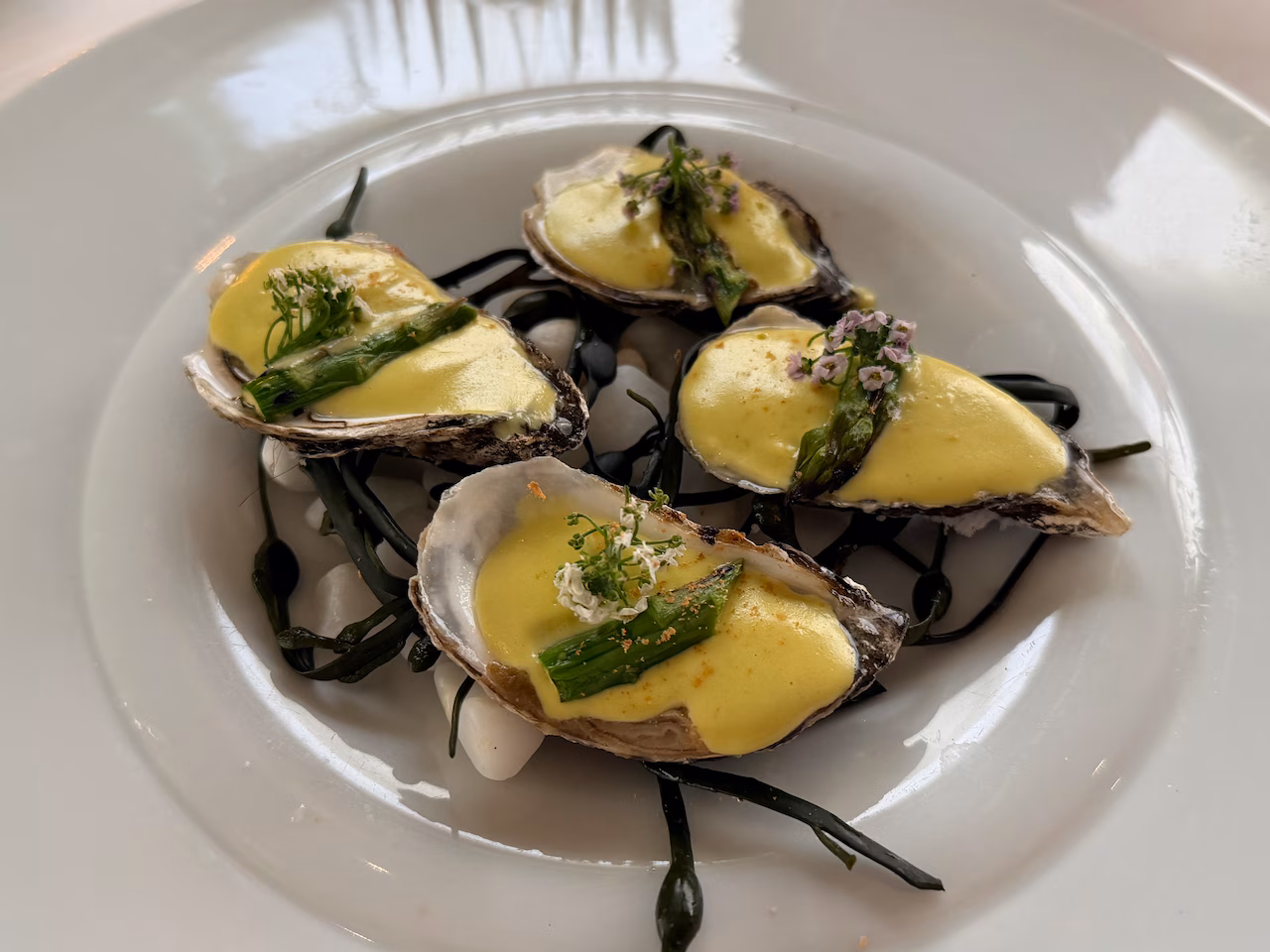 Baked oysters at Cotto in Morristown, NJ