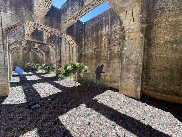 A high-angle view of a stark, industrial concrete structure with a dirt floor. The floor is partially covered with small green plants and mulch, and there is a silhouette of a person painted on a far wall.