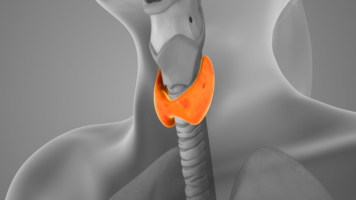 Review: The role of nutrition on thyroid health and disease: myths and facts. Image Credit: JitendraJadhav / Shutterstock