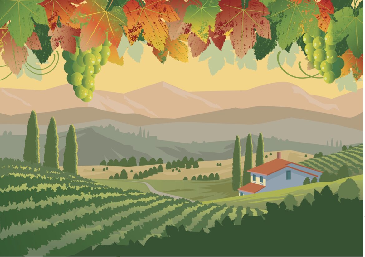 Can native and international varieties co-exist in Italian vineyards?