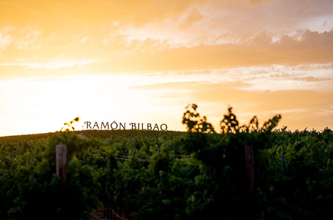 The Ram&oacute;n Bilbao vineyards