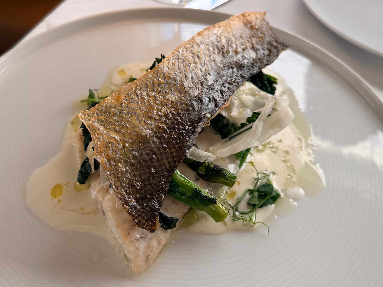 Branzino at Cotto in Morristown, NJ