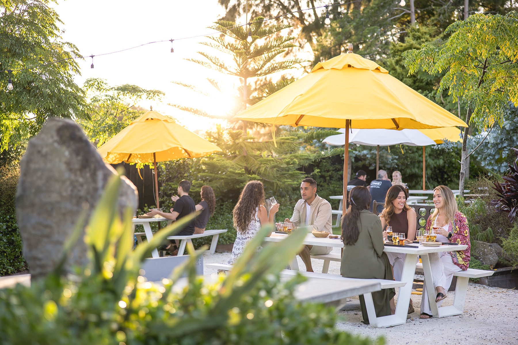 Photo by Miles Holden