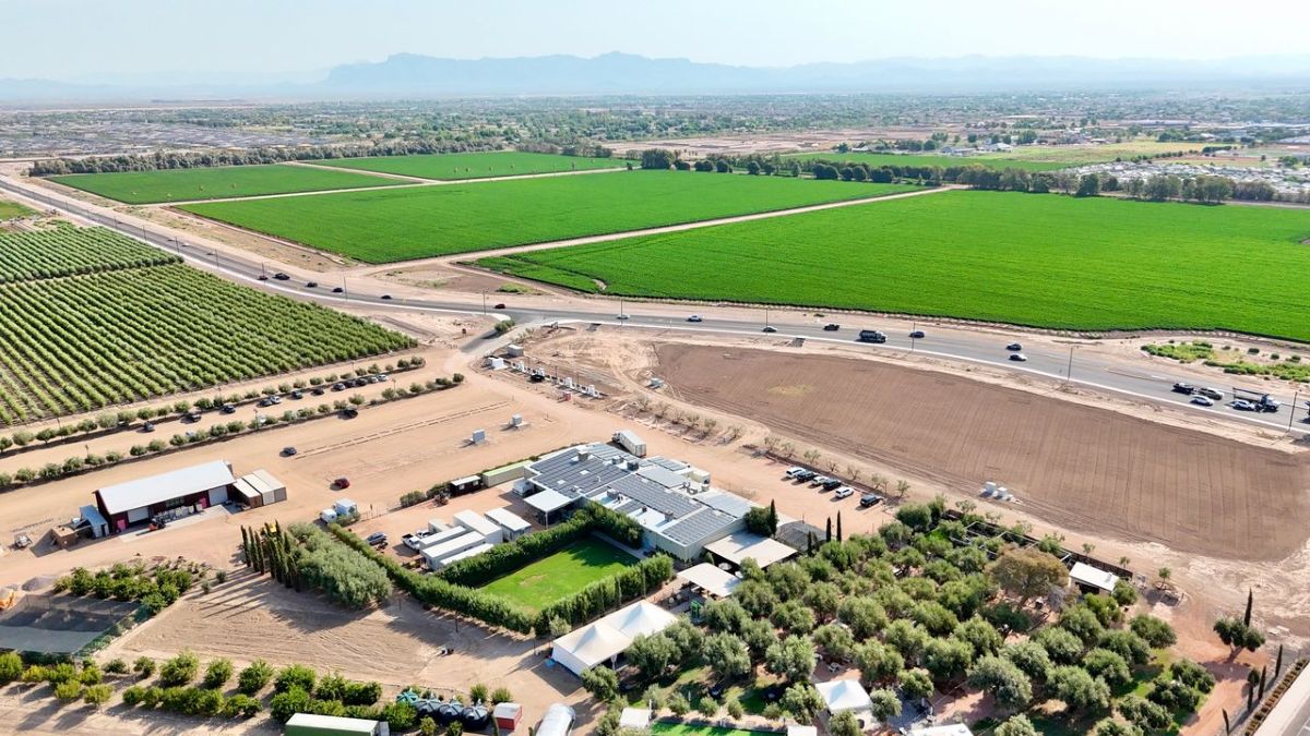 The Olive Farmer to Open With Fresh Italian Specialties