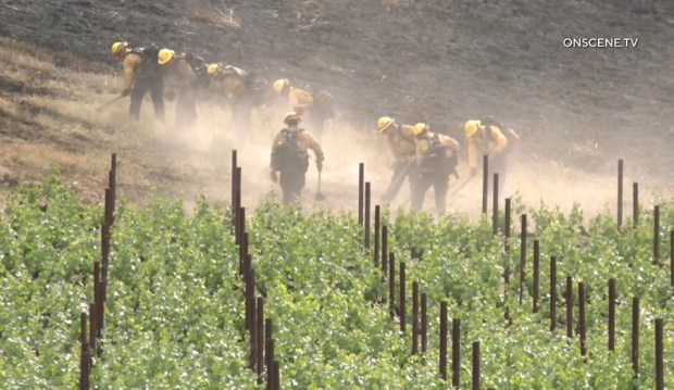 Crews work Sunday, April 5, to extinguish a brush fire that broke out near Callaway Vineyard & Winery near Temecula. (Photo by OnScene.TV)