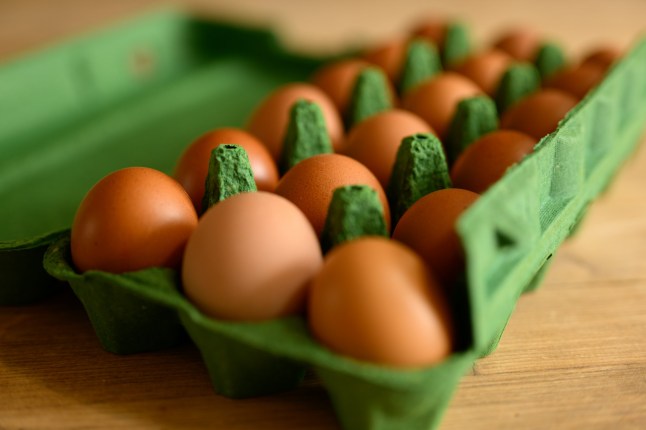 Eggs in a carton on Manon's kitchen countertop