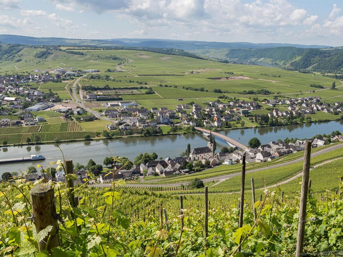 Germany | SevenFifty Daily