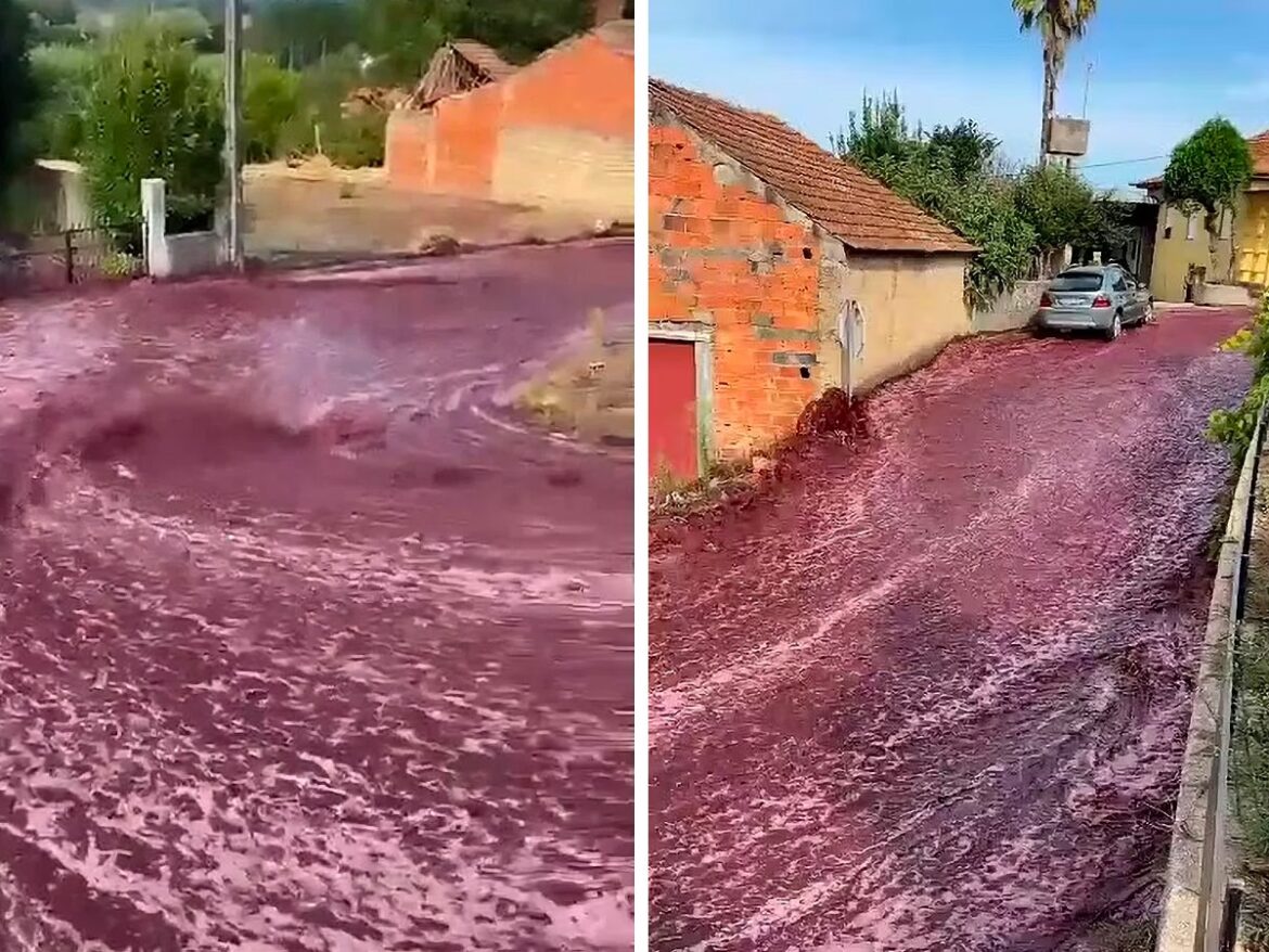 Wine-nado: 2.2 Million Litres of Red Wine Surge Down Streets of Portuguese Town
