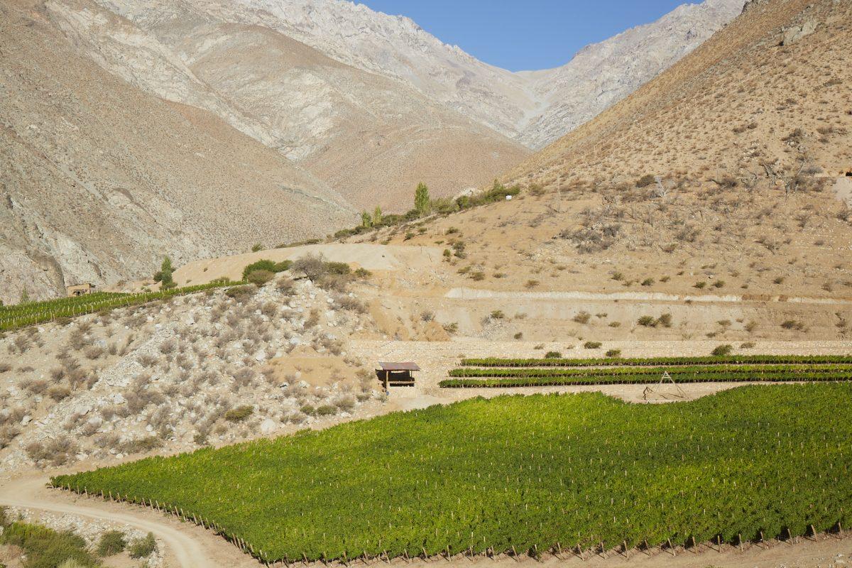 At the end of the arid Elqui Valley sits high-altitude winery Viñedos del Alchohuaz. 
