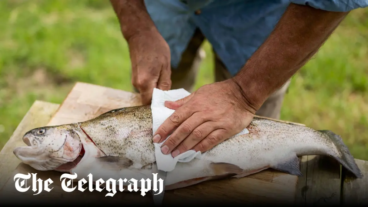 Trout recipes and the best ways to cook trout