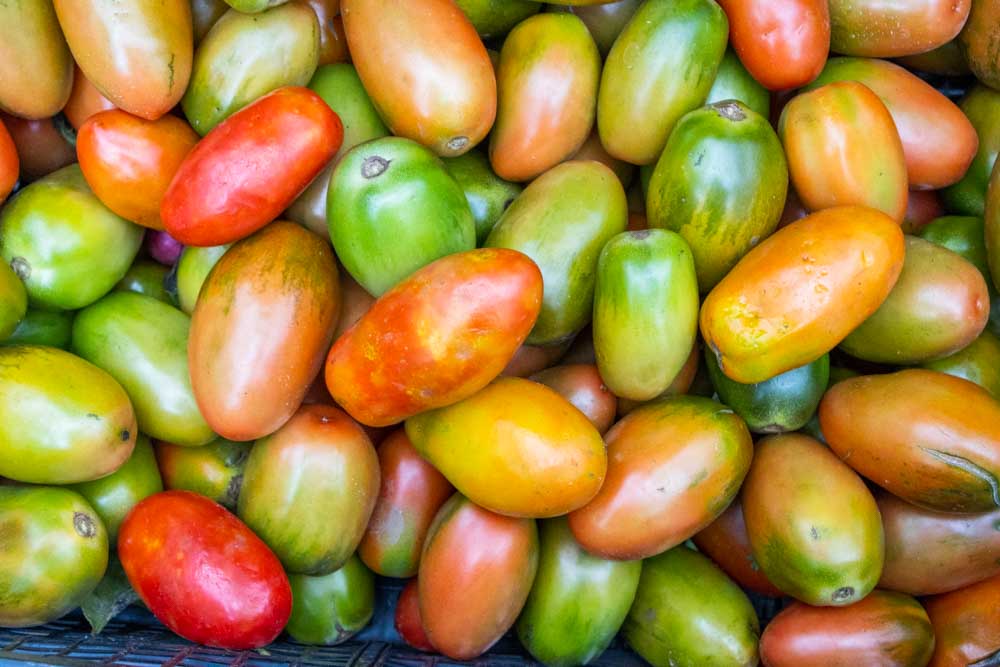 Tomatoes at Mercato di Testaccio in Rome