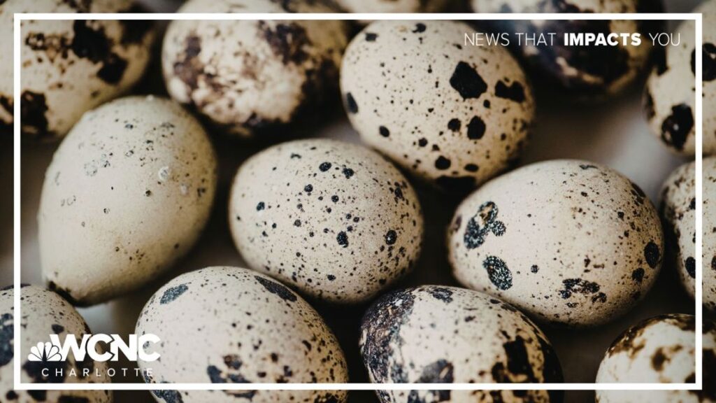 Quick Easter cooking with quail