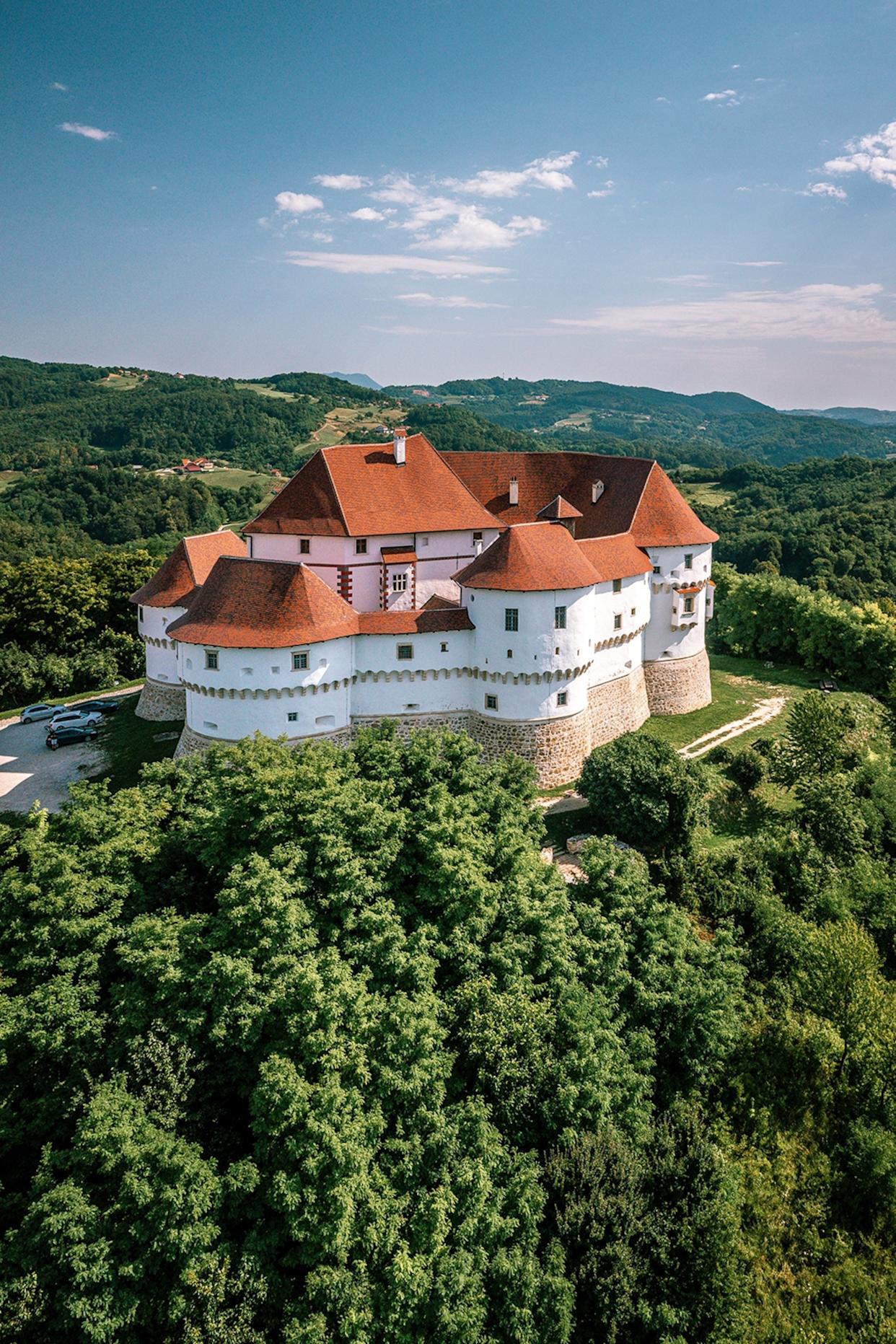 A medieval castle at the top of a hill overgrown and covered in trees.