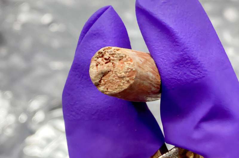 Ancient dirty dishes reveal decades of questionable findings