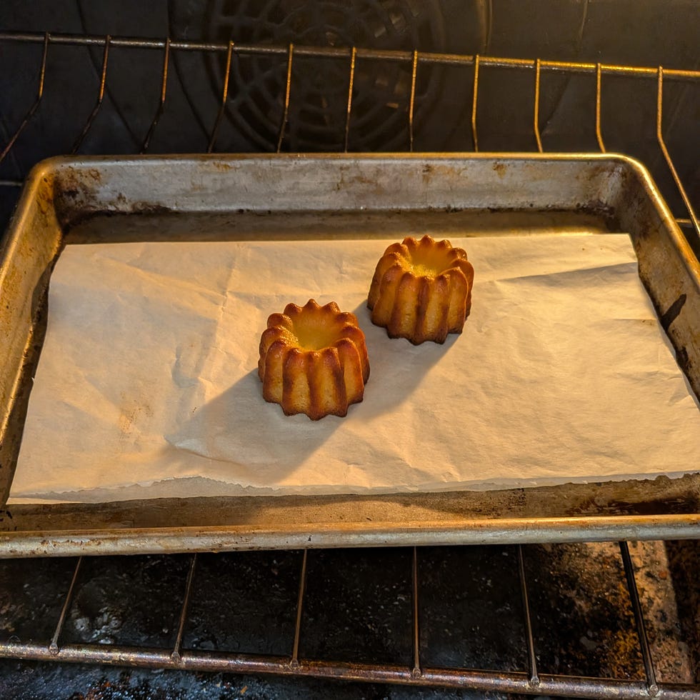 Baking tray with two golden-brown pastries in an oven.
