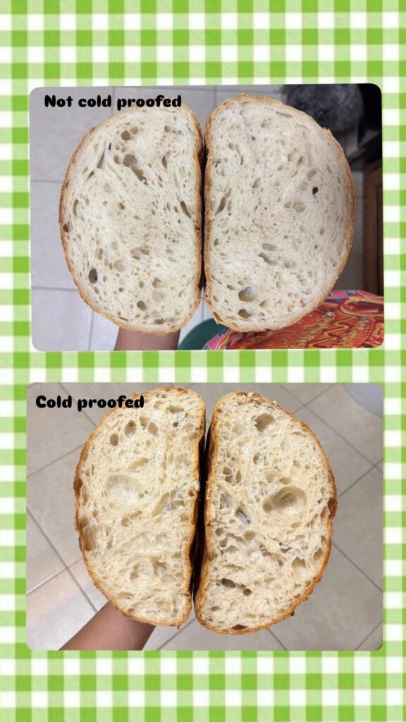 I did an experiment! Cold proofing vs not cold proofing