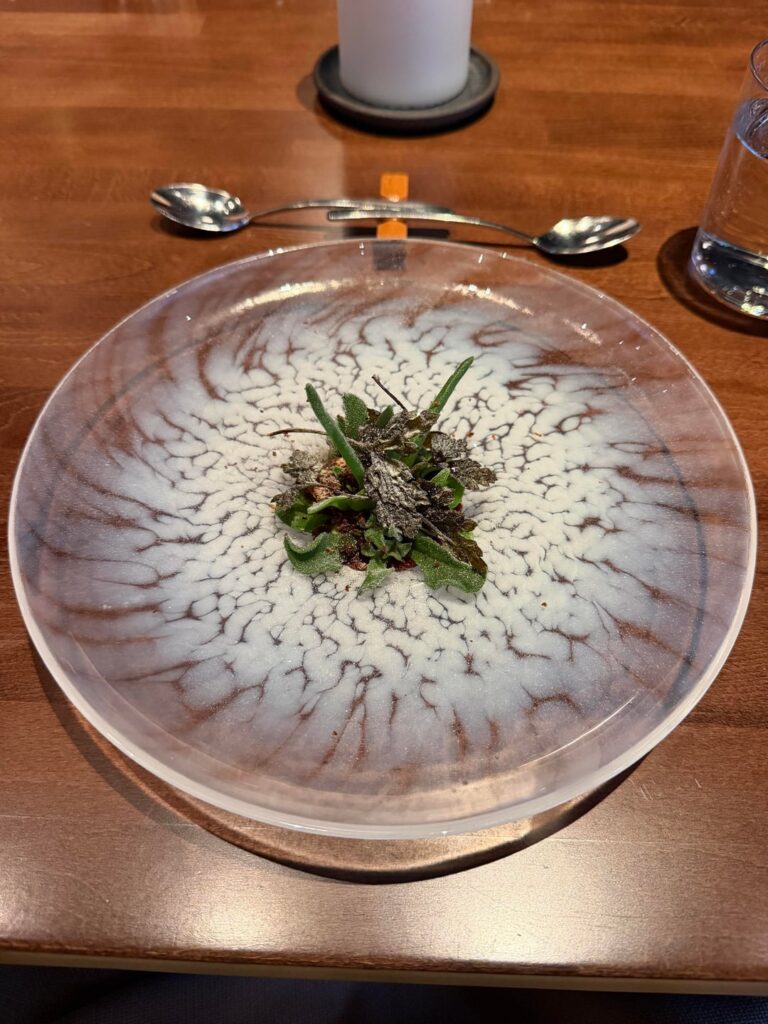 Seline, Santa Monica