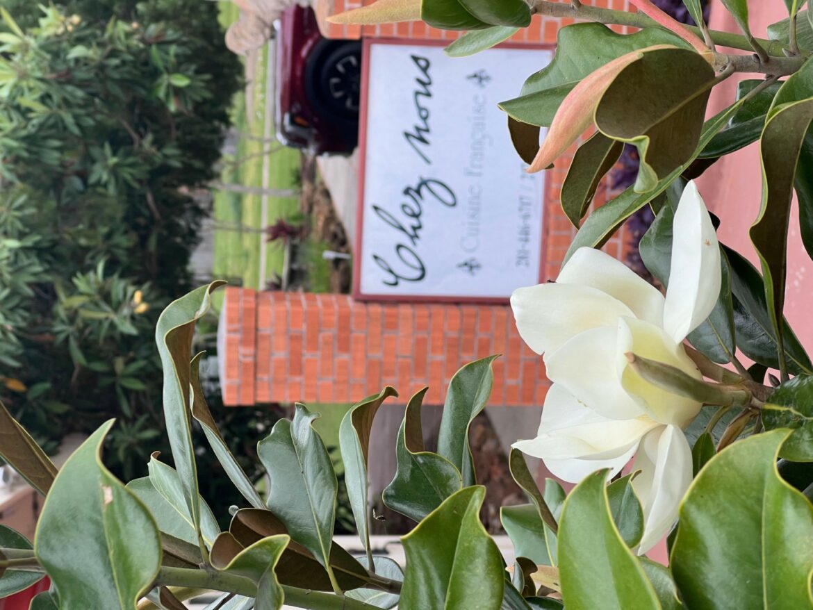 Meet Stacy Simonson – CanvasRebel Magazine Meet Stacy Simonson – CanvasRebel Magazine