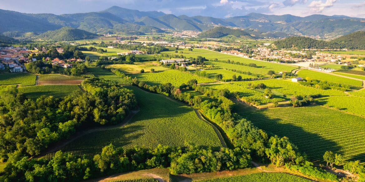 What Is Franciacorta Wine? Learn About This Bubbly Italian Wine
