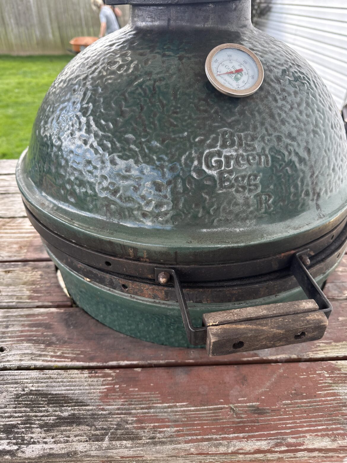 Hinge and bands for over 20 yr old medium egg?