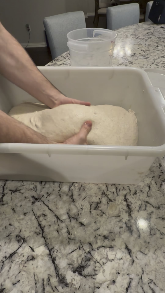 Beautiful Sourdough Country Loaf
