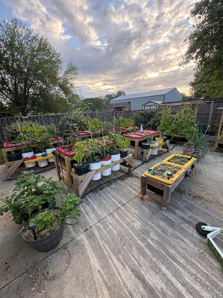 Driveway container… farm?