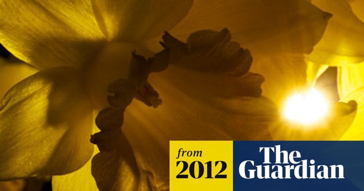 Notes and queries: Why don't you get vegetables in restaurants in France? | Restaurants