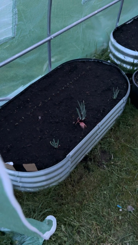 I might have overdid it lol