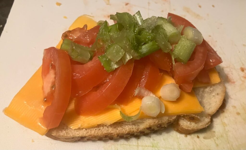 French bread, cheese, tomato, onion, olive oil, vinegar, salt. Blasted