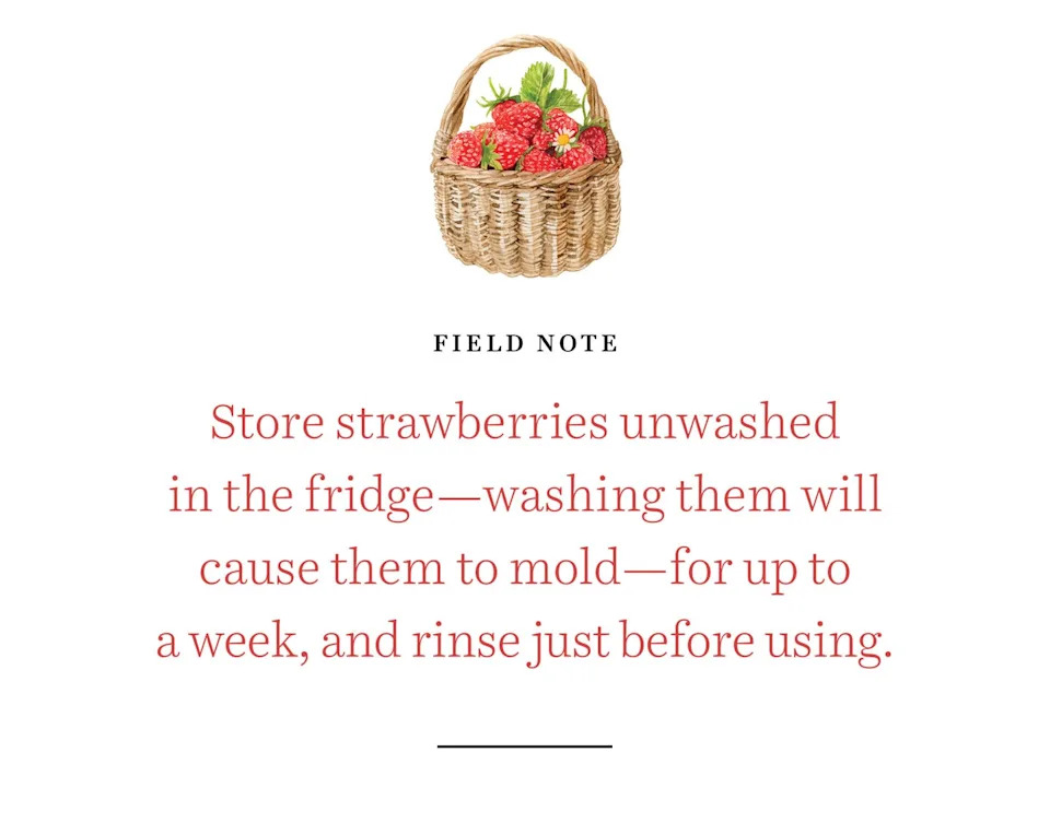 strawberries field note
