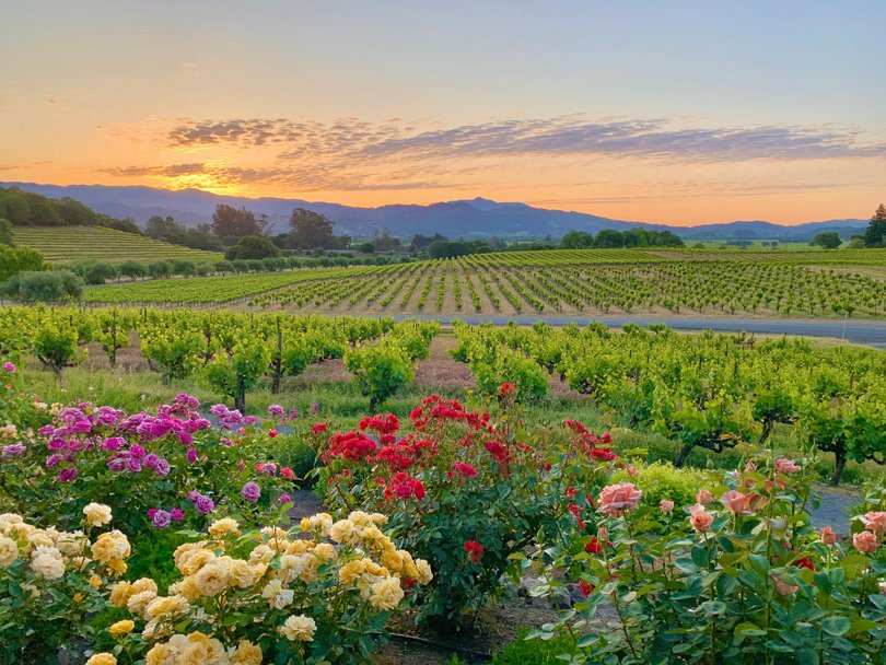 California wine region. 