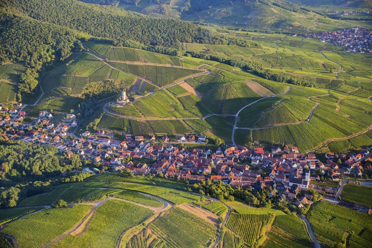 The village of Bergheim in Alsace, France, is surrounded by verdant vineyards.Credit: Courtesy of Civa-Wines of Alsace