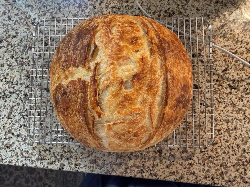 Croissant Sourdough ✨