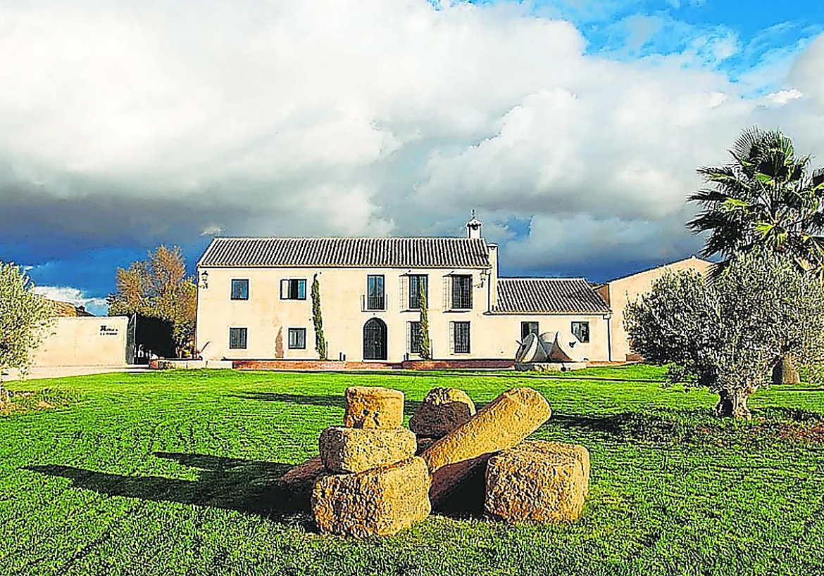 Malaga province producer once again among best Spanish oilve oil Malaga province producer once again among best Spanish oilve oil