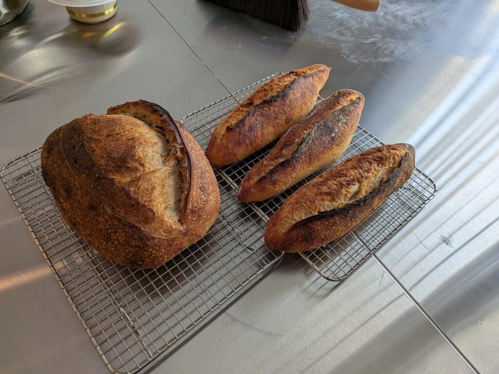 Where are my toaster oven bakers at?