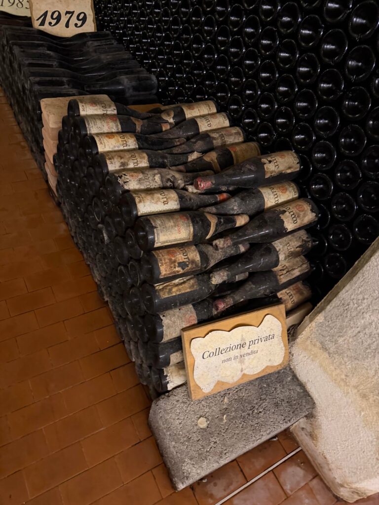 I visited Emidio Pepe in Abruzzo, Italy