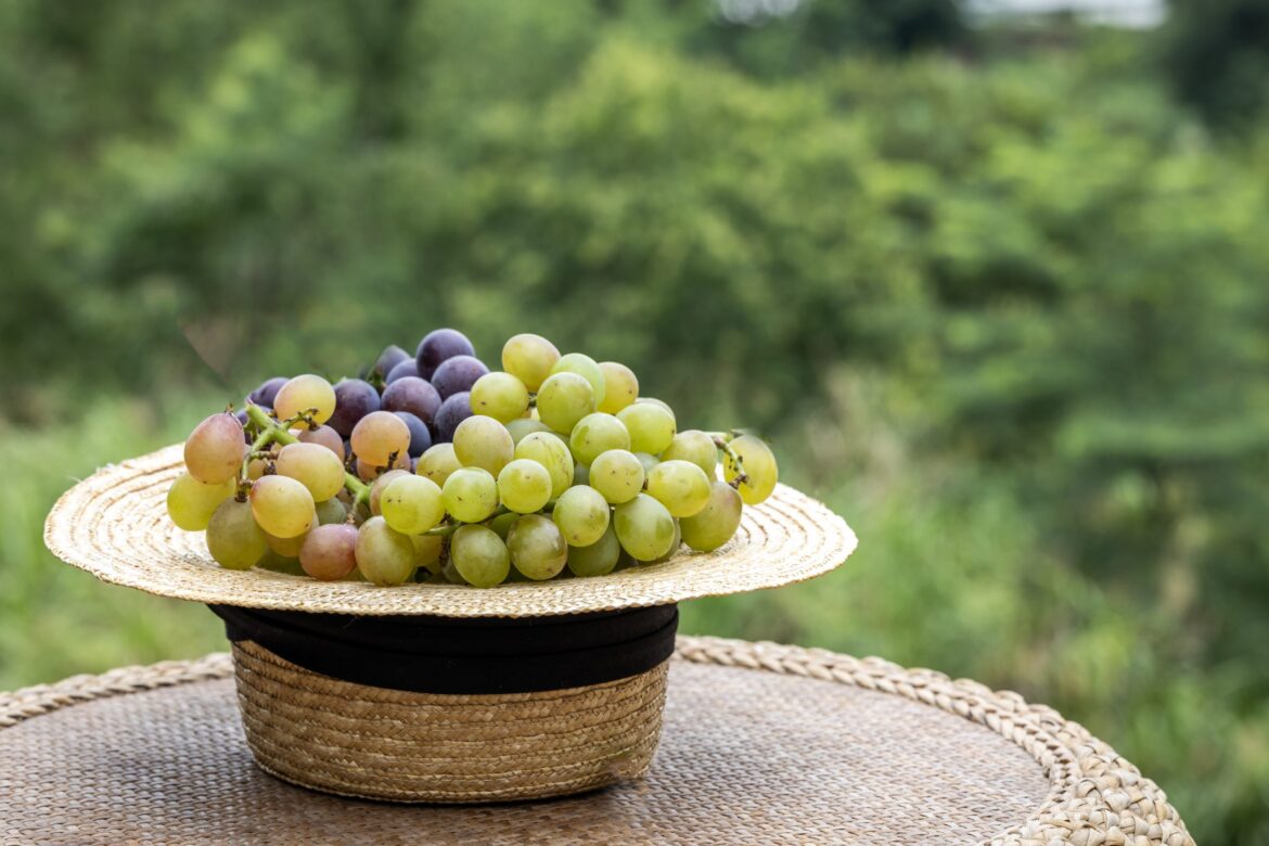 Field blends make a comeback, but this time as the protagonist