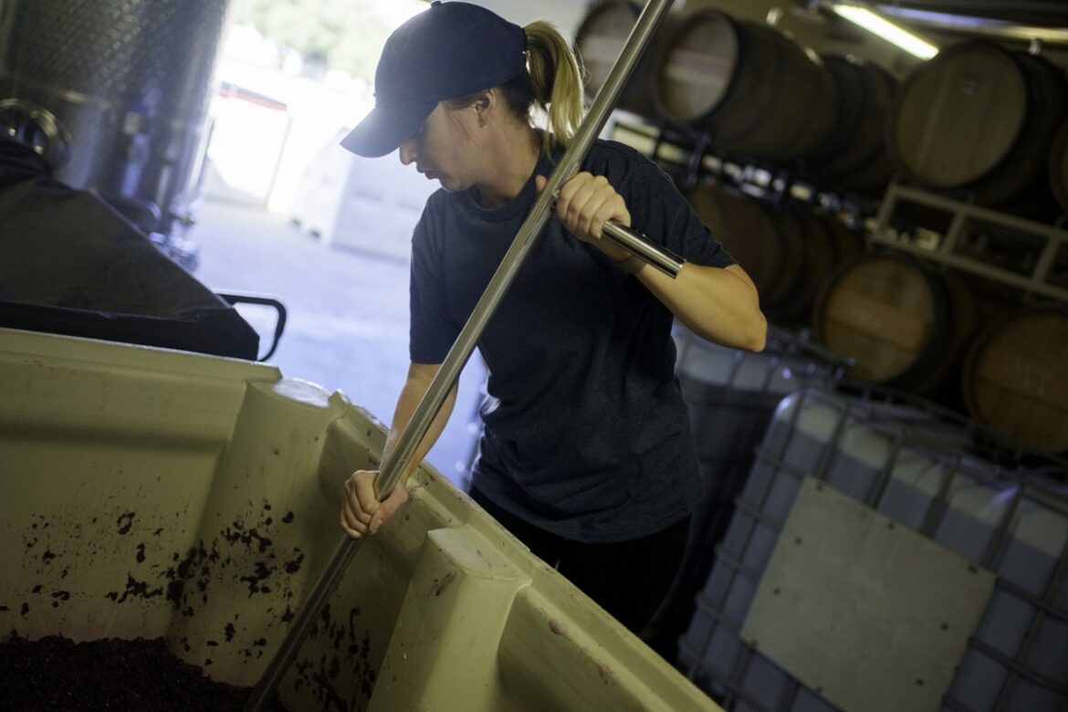 New report delivers gender equity insights for wine businesses
