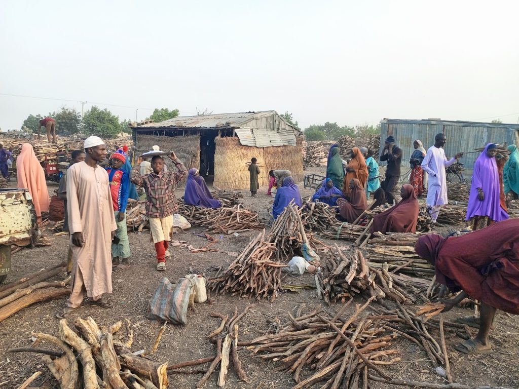 People gather and bundle firewood near makeshift shelters, with stacks of wood in the background.