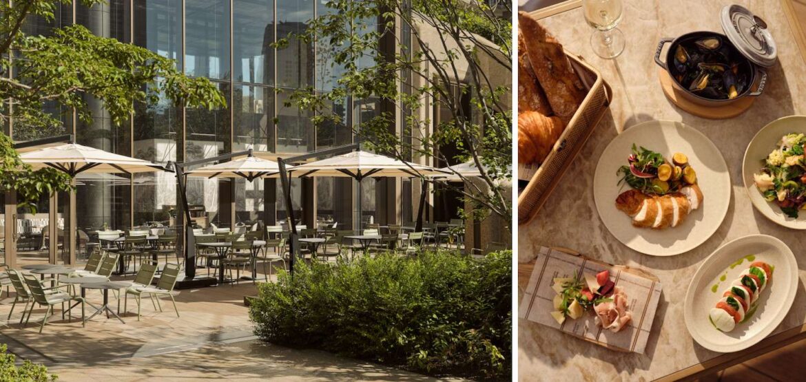 Janu Tokyo Opens a Dog-Friendly Spring Picnic Terrace in Azabudai Hills