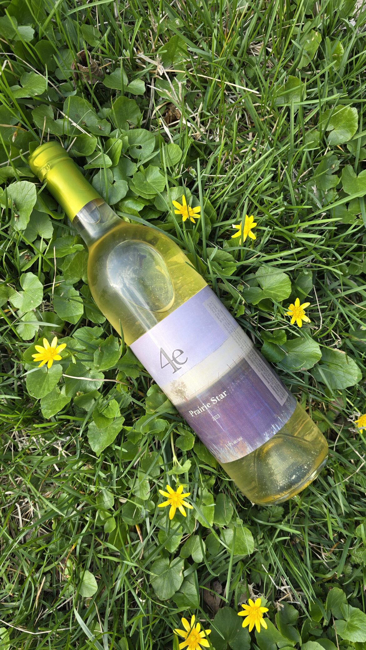 Trying wine from around U.S.: Can't recommend South Dakota