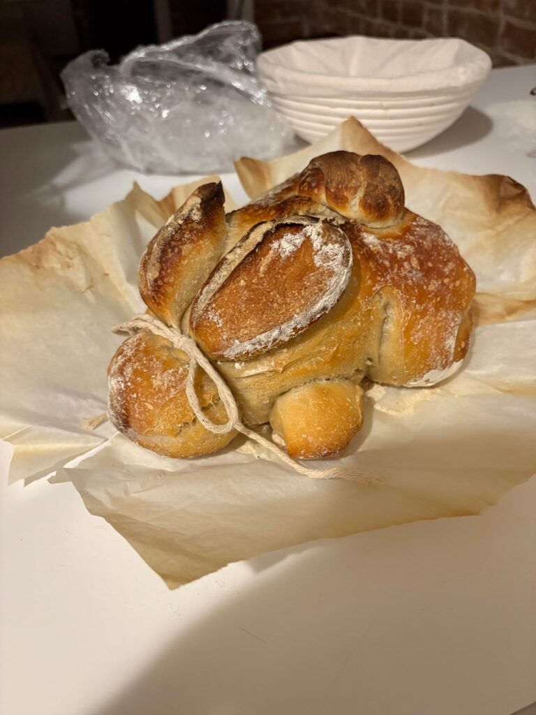 Cannot get a sour loaf, tried everything