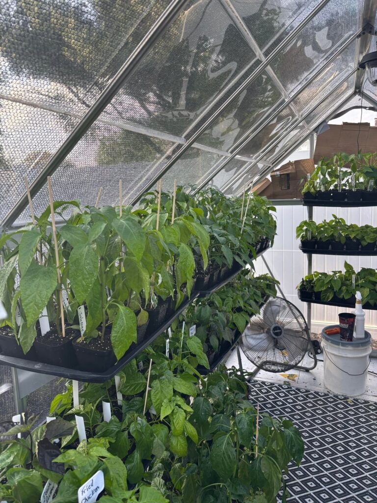 Are you tired of seeing my plants yet?