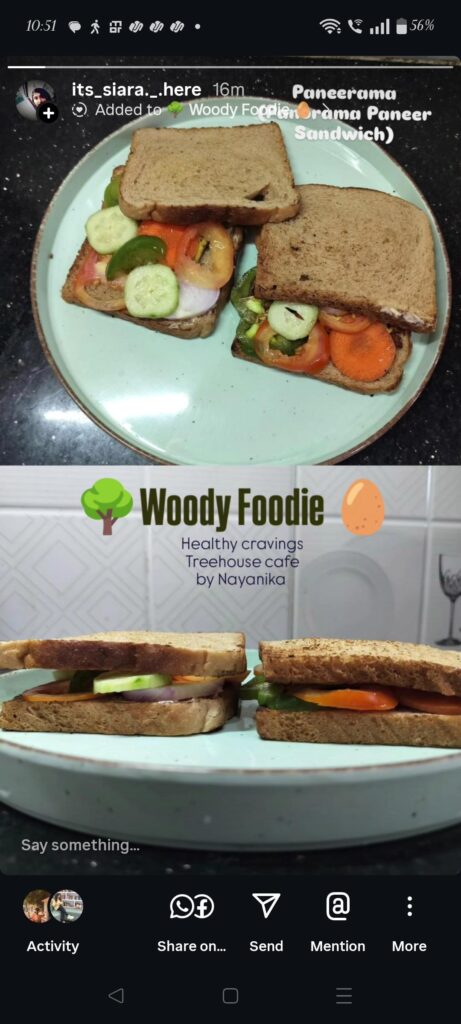 Homemade Paneer Sandwich