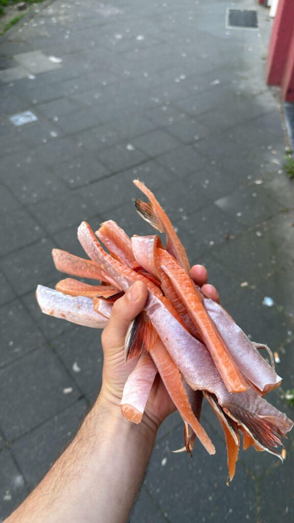 How to smoke the salmon trout