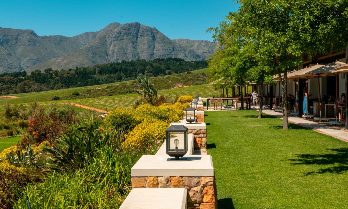 Stellenbosch vineyards in South Africa