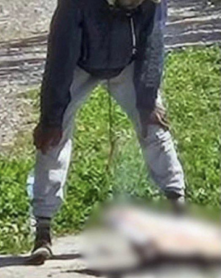 Man attempting to cook a cat over an open fire.