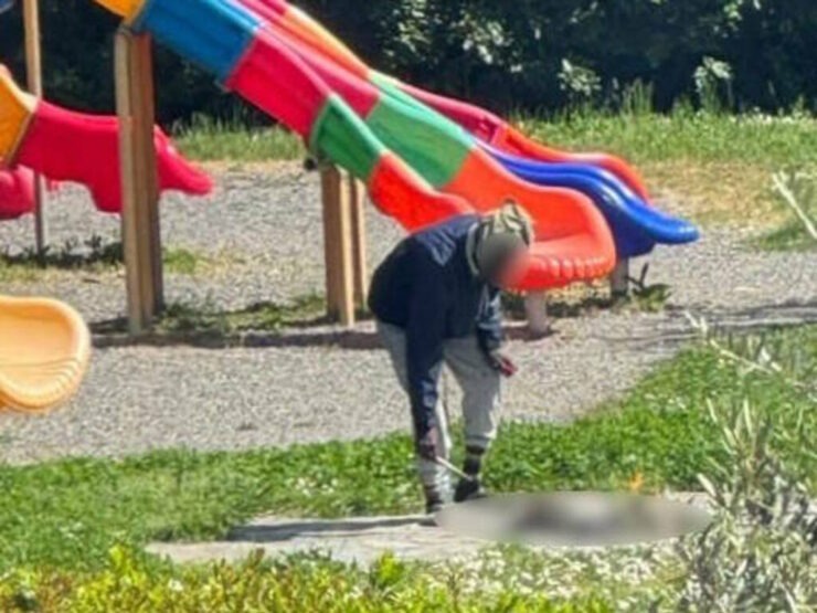 Man attempting to cook a cat over an open fire in a children's playground.