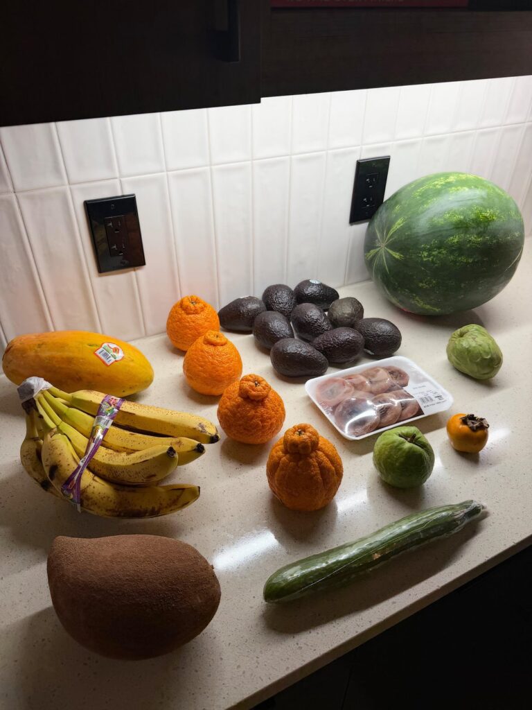 Saturday Raw Vegan Fruit Haul! First up is Watermelon!