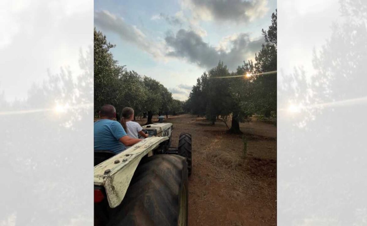 Is this the most unique way to give gifts to the Kingdom?